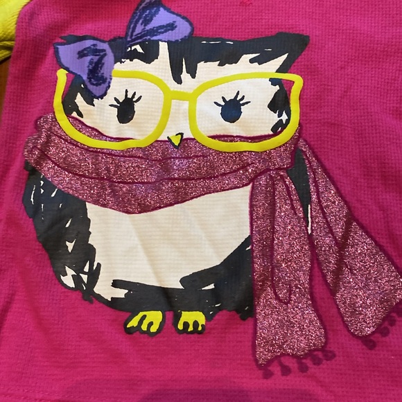 Girl’s Size 2 Long-sleeve T-shirts Bundle: Carter’s Llama & Children’s Place Owl - Picture 3 of 9